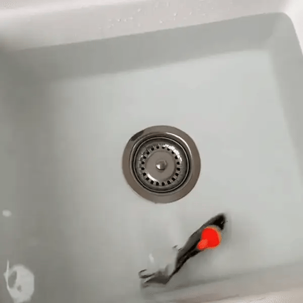 פתיון דג רובוטי שוחה אוטומטית